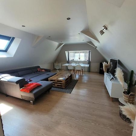 Loft Spacieux Et Lumineux Oloron-Sainte-Marie Dış mekan fotoğraf